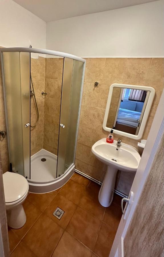Georgiana Apartments 2 Тимишоара Экстерьер фото