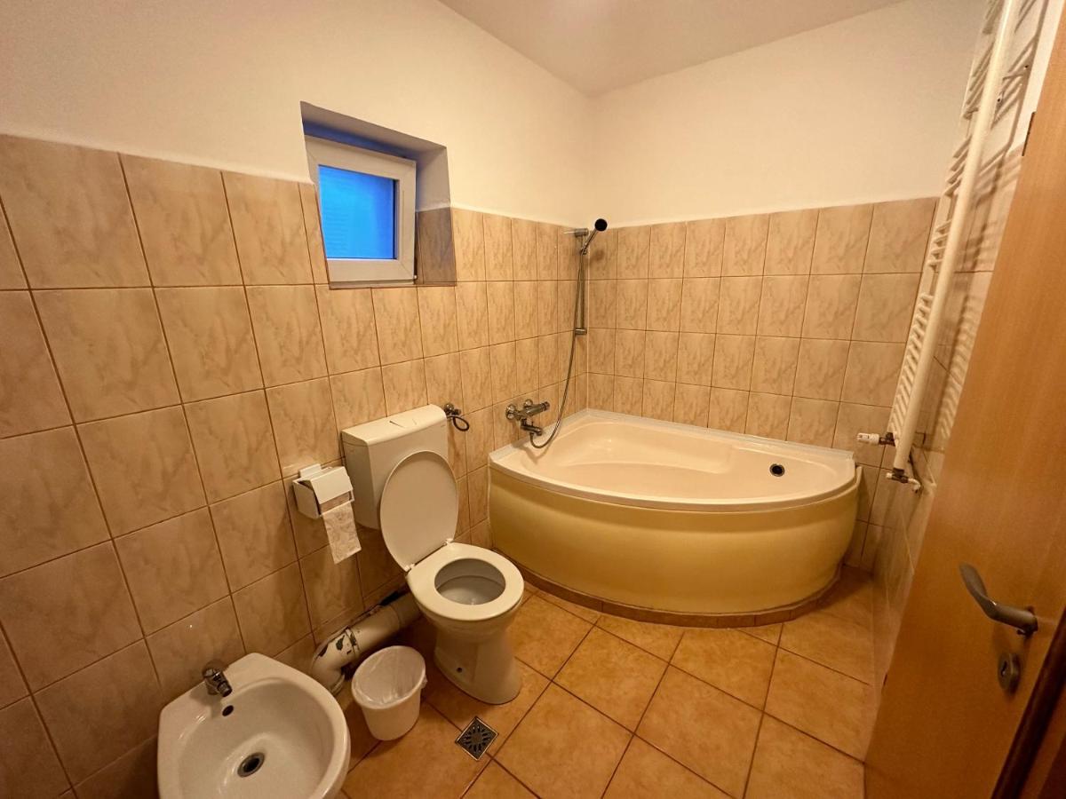 Georgiana Apartments 2 Тимишоара Экстерьер фото
