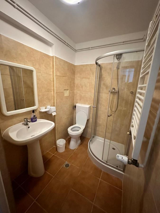 Georgiana Apartments 2 Тимишоара Экстерьер фото